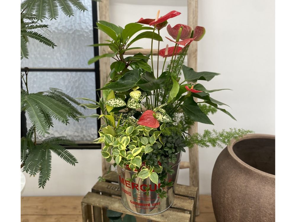お部屋でリゾート気分♪　観葉植物でつくる南国スタイル
