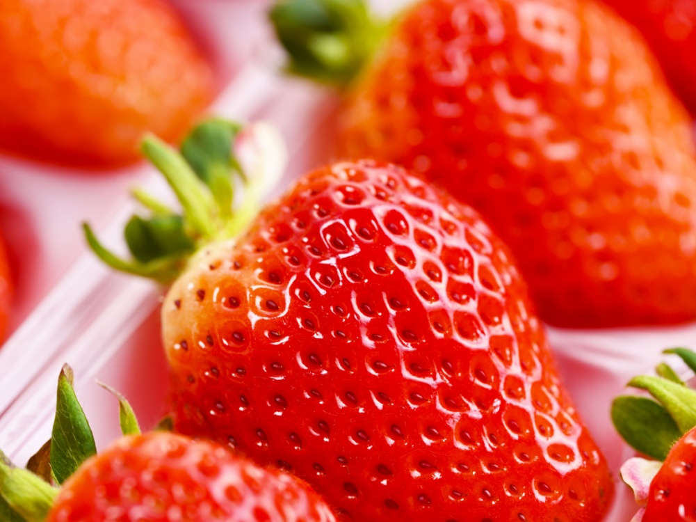 宝石のように輝く、プレミアムな『越後姫』